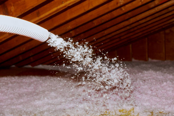 Best Insulation Removal Services  in Northumberland, PA